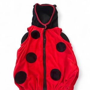 Ladybug Kids Halloween Costume